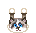 Katten Mini plaatjes 