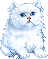 Katten Mini plaatjes Witte Kat