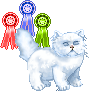 Katten Mini plaatjes 