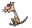 Katten Mini plaatjes 