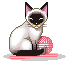 Katten Mini plaatjes 