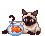 Katten Mini plaatjes 