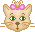 Katten Mini plaatjes 