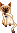 Katten Mini plaatjes 