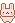 Konijnen Mini plaatjes 