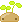Overig Mini plaatjes Plantje