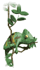 Overig Mini plaatjes Kameleon