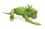 Overig Mini plaatjes Kameleon