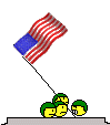Overig Mini plaatjes America Flag