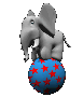 Overig Mini plaatjes Olifant