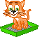 Overig Mini plaatjes Kat