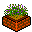 Overig Mini plaatjes Bloemen