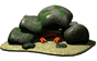 Vissen Mini plaatjes 