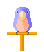 Vogels Mini plaatjes 