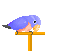 Vogels Mini plaatjes 