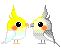 Vogels Mini plaatjes 