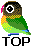 Vogels Mini plaatjes 