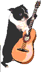Muziek plaatjes Dieren muziek 