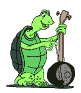 Muziek plaatjes Dieren muziek 