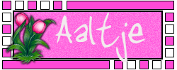 Naamanimaties Aaltje 