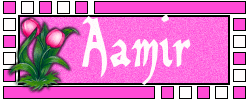 Naamanimaties Aamir 