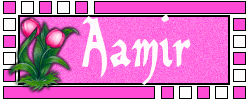 Naamanimaties Aamir 