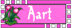 Naamanimaties Aart 
