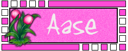 Naamanimaties Aase 