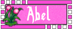 Abby Naamanimaties 