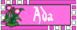 Naamanimaties Ada 