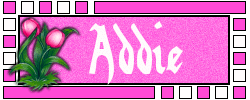 Naamanimaties Ada 