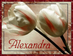 Alexandra Naamanimaties 