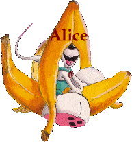 Alice Naamanimaties 