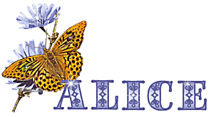Alice Naamanimaties Gele Vlinder Met De Naam Alice