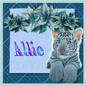 Allie Naamanimaties 