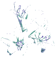 Amanda Naamanimaties 