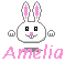 Amelia Naamanimaties 