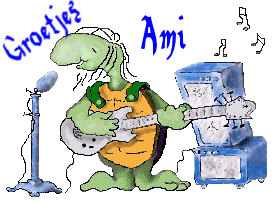 Ami Naamanimaties 