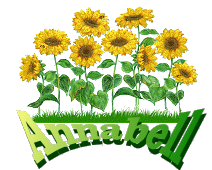 Annabell Naamanimaties Annabell Groene Letters Met Zonnebloemen