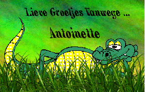 Naamanimaties Antoinette 