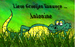 Naamanimaties Antonine Lieve Groetjes Van Antonine Krokodil