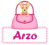 Naamanimaties Arzo 