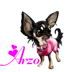 Naamanimaties Arzo 