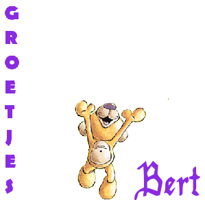 Naamanimaties Bert 