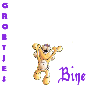 Naamanimaties Bine 