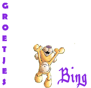 Naamanimaties Bing 