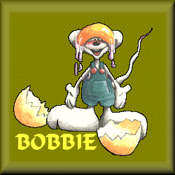 Bobbie Naamanimaties 