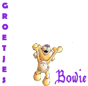 Naamanimaties Bowie 