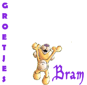 Naamanimaties Bram 