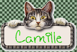 Naamanimaties Camille 
